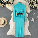 Autumn Winter Women Knitted Dress Turtleneck Sweater Dresses Lady Slim Bodycon Long Sleeve Bottoming Dress
