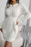 Long Sleeve Mini Sweater
