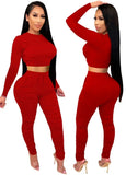 Party Sexy Tight Crop Top and Pants