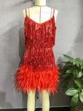 Fashion Tanne Tanneruse Feather Splicing Dress