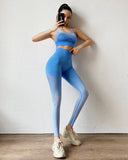 energy seamless Gym set for women tracksuit workout Sport suit fitness Bra clothing scrunch Mesh seamless leggings