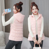 Ladies 2023 Autumn Winter Down Cotton Vest Short Korean Version Slim Slim Vest Vest Outside The Vest-Outfit