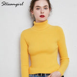 Women's Turtleneck Sweater Pullover Women Autumn Winter Pull Femme 2021 Winter Clothes Women Basic Warm Vintage Sweater