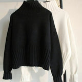 Turtleneck Sweater Women's Pullover High Stretch Knit Rib Slim Pullover Autumn and Winter Basic Women's Sweater Other