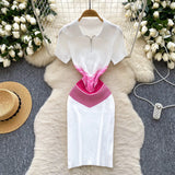 Chic Vintage Knitted Dress Women's Summer 2025 Summer Recealing Skinny Polo Collar Short-Sleeved Bust