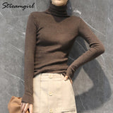 Women Winter Sweater 2020 Casual Solid Elsticity Pullover Knitted Woman Sweaters Black Turtleneck Sweater