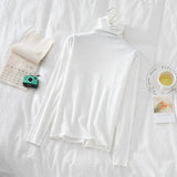 Women's Turtleneck Sweaters 2022 Autumn Winter Sweater Knitted Pullover Long Sleeve Women Sweaters Tops Jumper Pull Femme