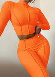 Ribbed Turtleneck Crop Top and Pants 2pc