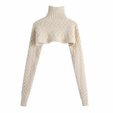 2020 Fashion Arm Warmers Cropped Cable Knitted Sweater Vintage High Neck Long Sleeve Female Pullovers Chic