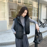 Short Cotton-Padded Jacket Vest Female Senior Sense Winter College Wind 2024 New Short Fried Street Collar Vest Thick Coat-Outfit