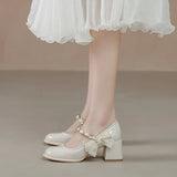 Women's Mary Jane Shoes 2025 New Summer Thick Heeled And Shallow-Mouthed French Fairy With Skirt Single