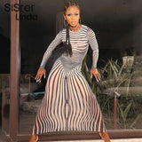 Zebra Print Long Sleeve Slim Bodycon Sexy Maxi Dress Fall Women Sheer Stripe Streetwear Party Club Dress Female Y2K Outfits