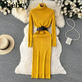 Autumn Winter Women Knitted Dress Turtleneck Sweater Dresses Lady Slim Bodycon Long Sleeve Bottoming Dress