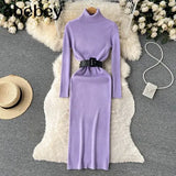 Autumn Winter Women Knitted Dress Turtleneck Sweater Dresses Lady Slim Bodycon Long Sleeve Bottoming Dress