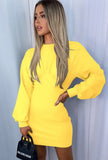 Casual Puff Sleeve Mini