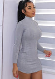 Sexy High Neck Slim Knitted Mini