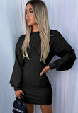 Casual Puff Sleeve Mini