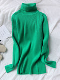 Women Turtleneck Sweaters Autumn Solid Slim Pullover Coffee Soft Knitted Jumper Pulls Warm Sweater Winter Turtleneck