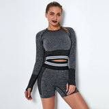 Athletic Seamless Striped Set Gym Sport Suit Workout Clothes Women Long Sleeve Shirts Seamless Shorts Fitness