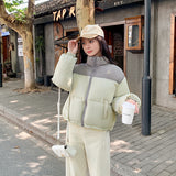 Down Cotton Clothing Women Short Style 2024 Autumn And Winter Korean Version Of Small Bread Clothing Thick Loose Color Stand Collar Coat-Outfit