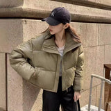 Maillard Wears Down Cotton Jacket Female 2024 New Short PU Leather Winter Coat Small Padded Clothes Padded Jacket Female-Outfit