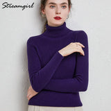 Women's Turtleneck Sweater Pullover Women Autumn Winter Pull Femme 2021 Winter Clothes Women Basic Warm Vintage Sweater