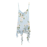 Spring And Summer New Women's Fashion Sexy Hot Girl Print Mesh Dress