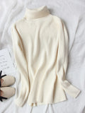Women Turtleneck Sweaters Autumn Solid Slim Pullover Coffee Soft Knitted Jumper Pulls Warm Sweater Winter Turtleneck