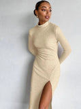 Basic High Neck Split Long Sleeve Midi