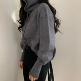 Sweater Women Lapel Buttoned Cardigan Spring Fall Turtleneck Long Sleeve Solid Sweaters Tops Ladies korean Style Jacket
