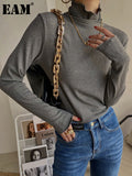 Women Multicolor Gray Brief High Elastic SlimT-shirt New Turtleneck Long Sleeve Fashion Tide Spring Autumn 2023