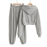 two piece set with hood solid color short tops and long pants loose 2 piece set women fashion sexy sport female