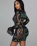 Black Sequins V-neck See Through Mesh Long Sleeve Club