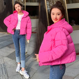 Down Cotton Clothes Women's Short Style 2024 Winter New Thickened Loose Stand Collar Bread Clothing Cotton-Padded Clothes Small Coat Tide-Outfit
