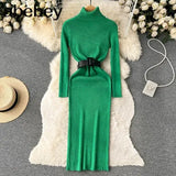 Autumn Winter Women Knitted Dress Turtleneck Sweater Dresses Lady Slim Bodycon Long Sleeve Bottoming Dress