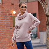 Sweater Women's Horse Hair Solid Color Long-Sleeved Collar Knitwear Shirt In Autumn And Winter