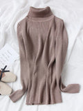 Women Turtleneck Sweaters Autumn Solid Slim Pullover Coffee Soft Knitted Jumper Pulls Warm Sweater Winter Turtleneck
