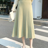 2023 New Women's Knitted A-line Skirt Autumn Winter Solid Color Pleated Long Skirts Woman Elegant High Waist Skirt