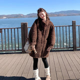 Winter New Fox Fur Coat Women's Long Loose Thick Fur Coat Plus Thick Fur