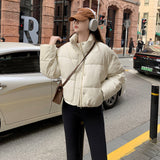 Maillard Wears Down Cotton Jacket Female 2024 New Short PU Leather Winter Coat Small Padded Clothes Padded Jacket Female-Outfit