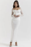 Sheer Long Sleeve Bodycon Maxi Dress-Outfit