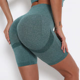Fit Leggings High Waist Sport Short Leggins Hip Push Up Women Gym Fitness Legging Tummy Control Workout Gym workout