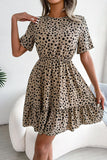 Round Neck Short Sleeve Ruffled