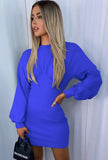 Casual Puff Sleeve Mini