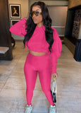 Hooded Cropped Top and Tight Legging