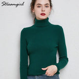 Women's Turtleneck Sweater Pullover Women Autumn Winter Pull Femme 2021 Winter Clothes Women Basic Warm Vintage Sweater