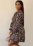 Leopard Print V-Neck Long Sleeves Skater