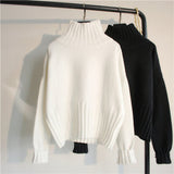 Turtleneck Sweater Women's Pullover High Stretch Knit Rib Slim Pullover Autumn and Winter Basic Women's Sweater Other