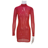 Toloer Women's Wear 2024 New Sexy See-Through High Elastic Silk Slip Long-Sleeved Dress Sunscreen Shirt Swimsuit Smock-Outfit