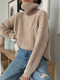 WOTWOY Autumn Winter Knitted Turtleneck Sweater Women Thick Long Oversized Sweaters Women Solid Cashmere Pullovers Korean